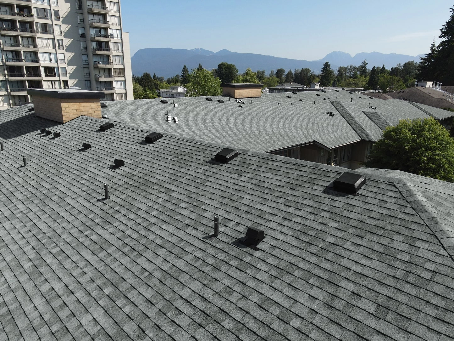 Bardeaux architecturaux Regency