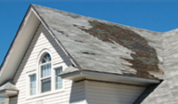 How to Maintain Your Shingle